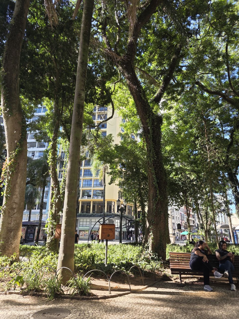 O impossivel e aquilo que nao tentamos-20260420155851660.jpg